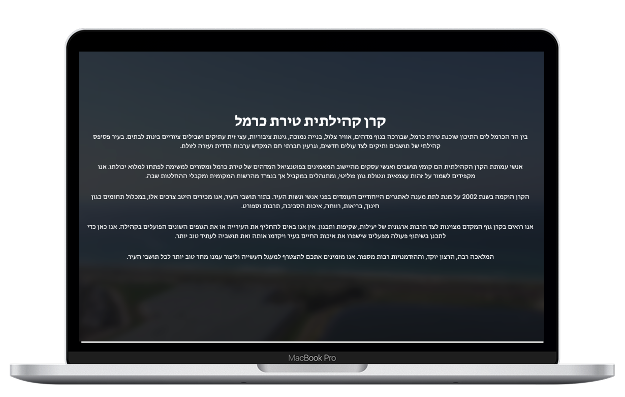 We Specified, Designed & Developed the Carmel Castle Community Fund Website – goal and solution